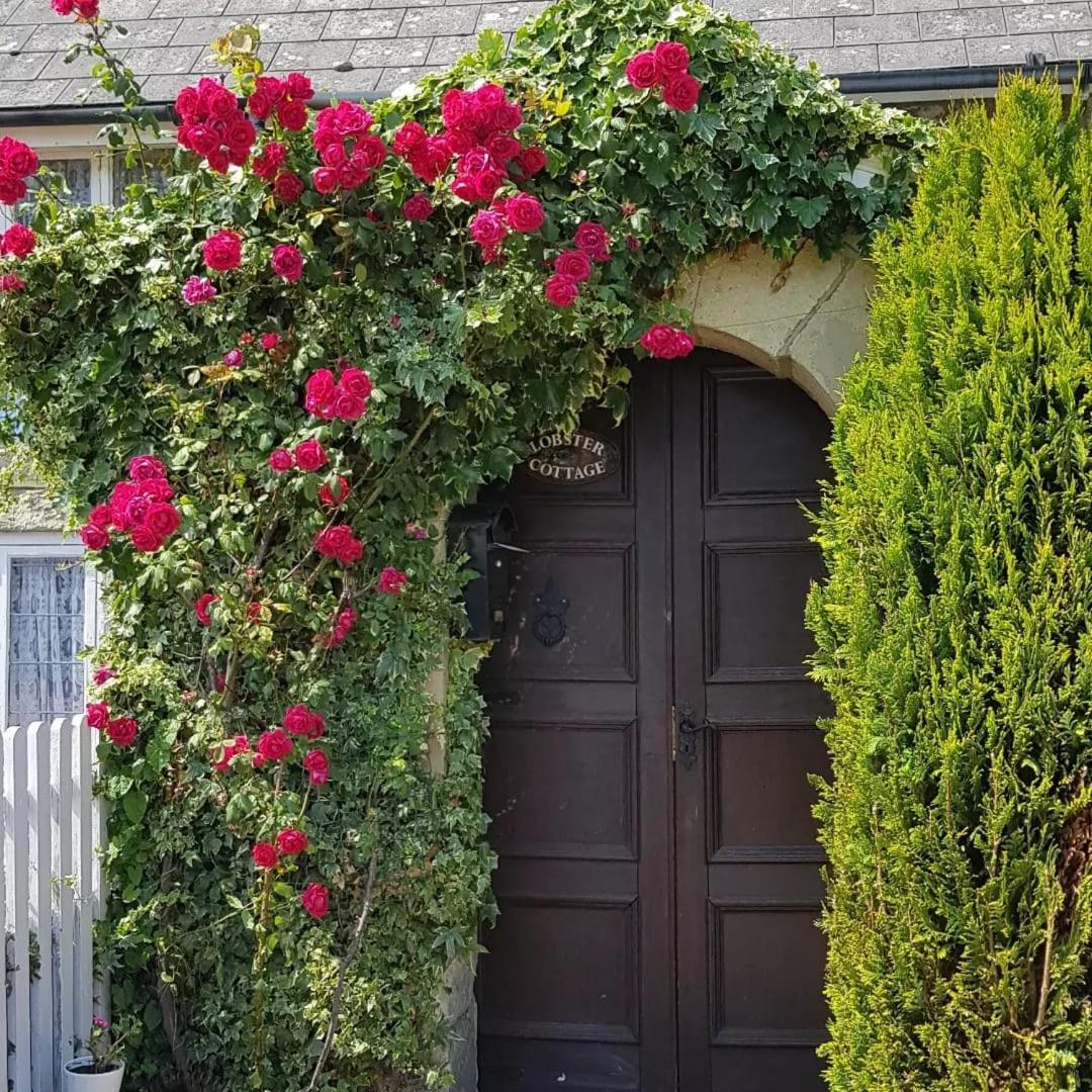 Lobster Cottage Ventnor Exterior photo